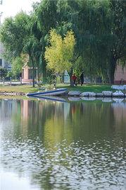 异度农舍,探索未知农业世界的奇幻之旅