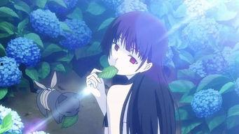 散华礼弥,探寻东方美学的独特魅力