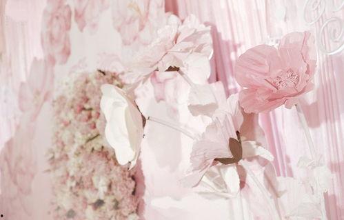 粉红色时光,探寻青春记忆中的温馨篇章