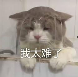 让我尖叫,探寻刺激与惊喜的极致体验