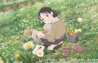 在这世界的角落,探寻生命的温暖与希望